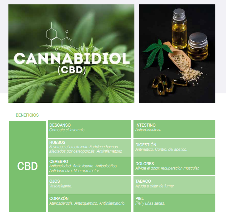 Almohada CBD SOJA 70cm